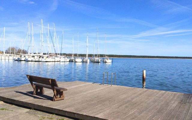 Hafen Breege