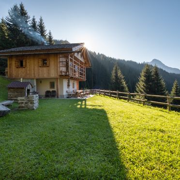 Sommer, Costetoi Hütte, San Pietro di Cadore, Südtirol, Trentino-Südtirol, Italien