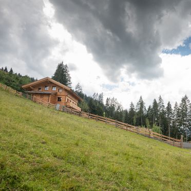 Sommer, Prenner Alm, Haus im Ennstal, Steiermark, Steiermark, Österreich