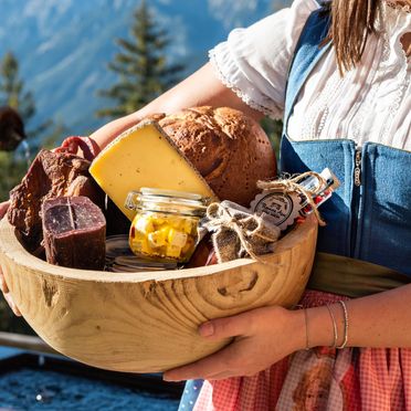 Summer, Prenner Alm, Haus im Ennstal, Steiermark, Styria , Austria