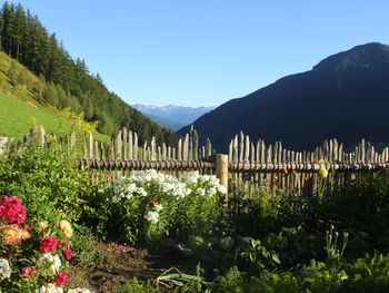 Schauinstal Hütte 1 - Trentino-Südtirol - Italien