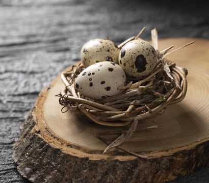 Jordan's Untermühle: Osterauszeit