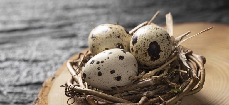 Jordan's Untermühle: Osterauszeit