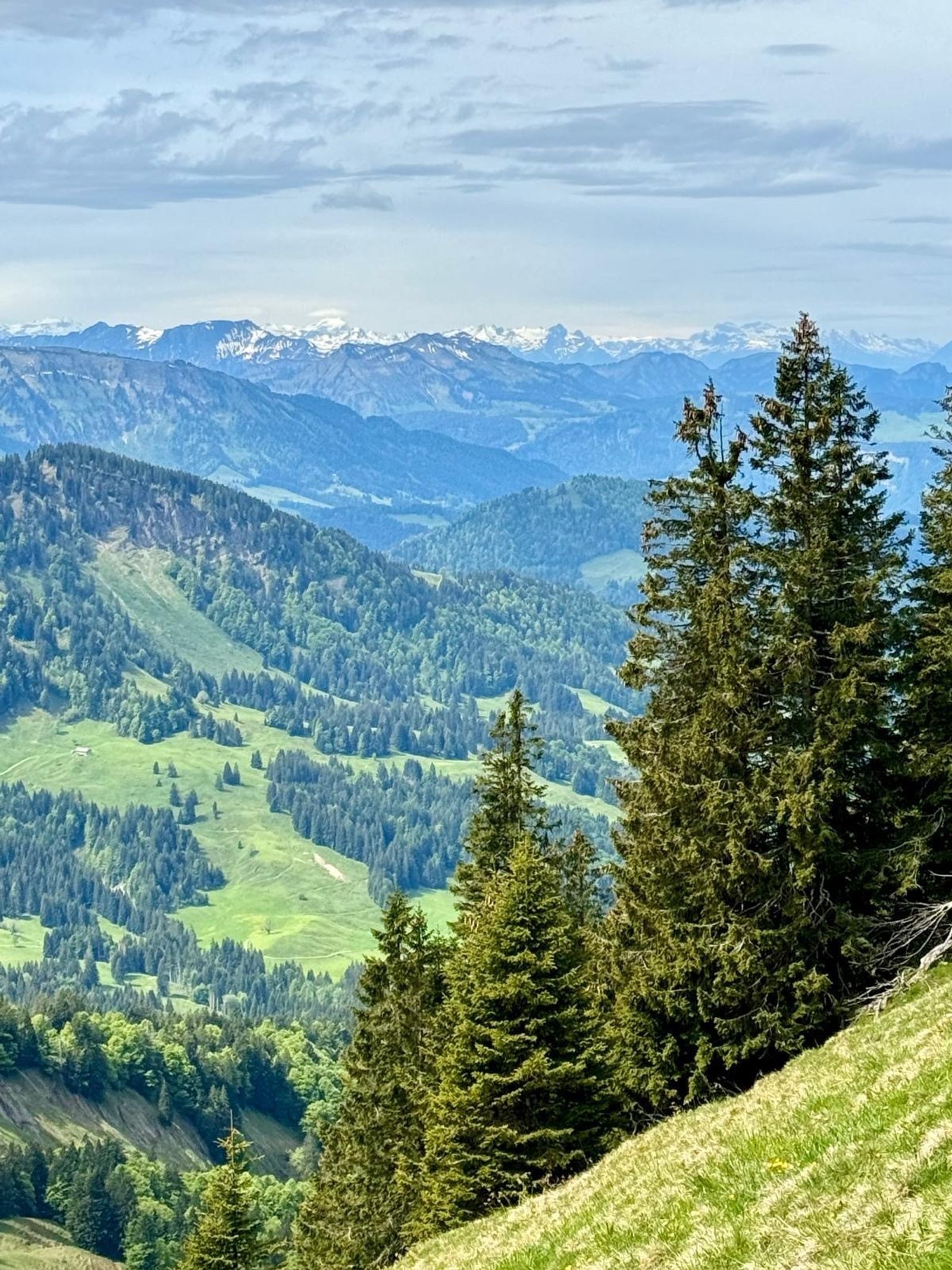 Basenfasten & Wandern im Allgäu mit Carola image 7 - Berghüs Schratt
