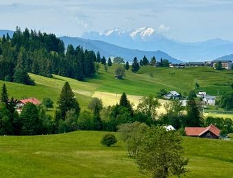 Top Angebot: Basenfasten & Wandern im Allgäu mit Carola - Berghüs Schratt
