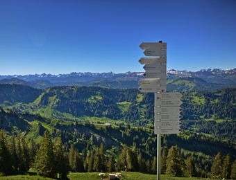 biohotel schratt summer hochgrad signposts