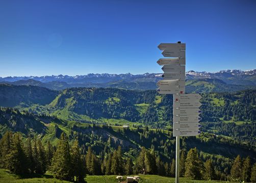 biohotel schratt estate hochgrat segnaletica - Berghüs Schratt