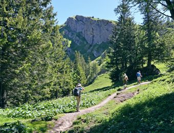 Top Angebot: Buchinger-Fasten-Wanderwoche - Berghüs Schratt