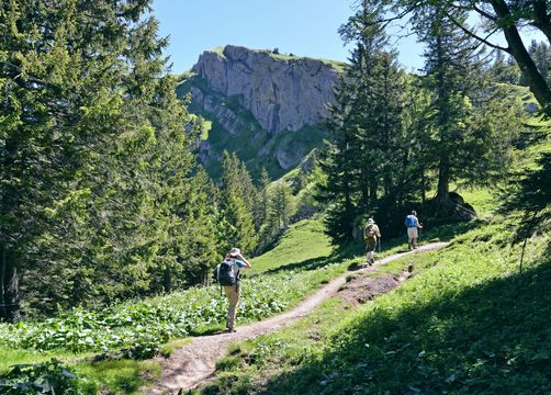 Buchinger Fasting Hiking Week - Berghüs Schratt