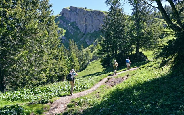 Berghüs Schratt: Buchinger Fasting Hiking Week