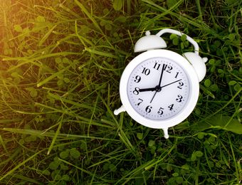 Top Angebot: RE-Treat MenoPause - Berghüs Schratt