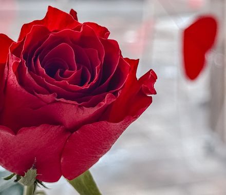 Valentins Day-SPA - DAS AHLBECK HOTEL & SPA