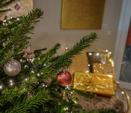 Angebot: Weihnachten 2026 - DAS AHLBECK HOTEL & SPA