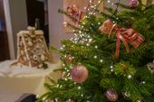 3 Weihnachtstage