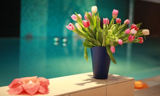 Frühling auf Usedom