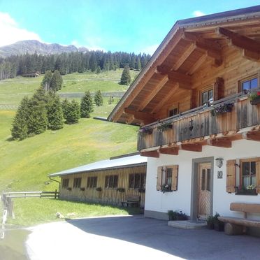 summer, Riepleralm, Matrei in Osttirol, Tirol, Tyrol, Austria