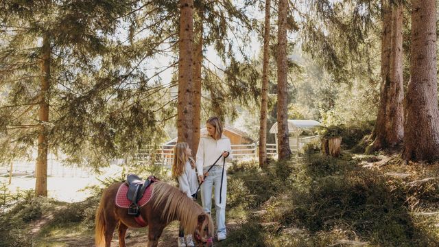 PonyErlebnis mit Freinacht