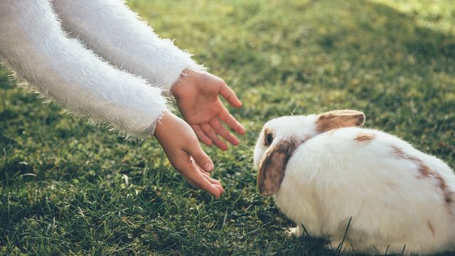 OSTERN *5% Preisvorteil* 