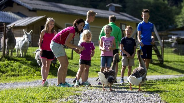 Familienhit Angebot 2 Erw. + 3 Kinder