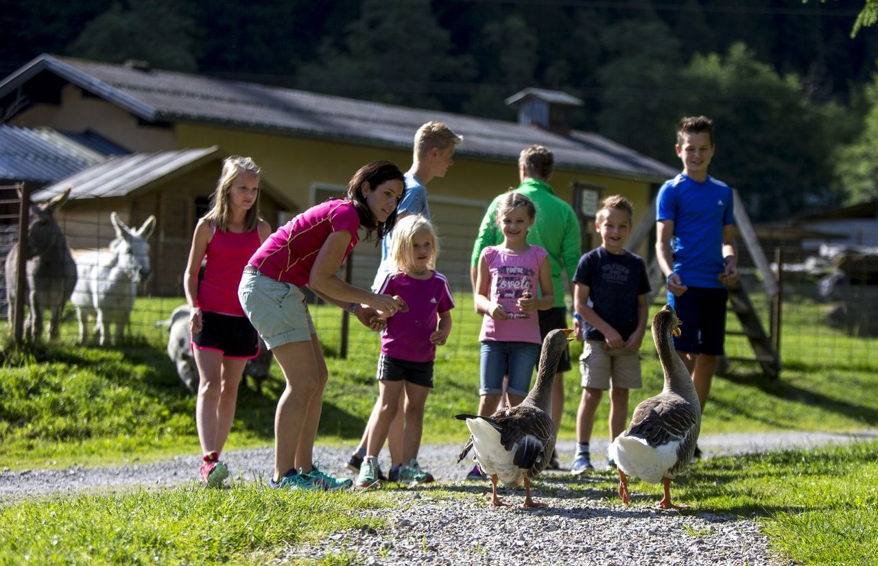 Ferienhotel Gasthof zur Post Bildergalerie