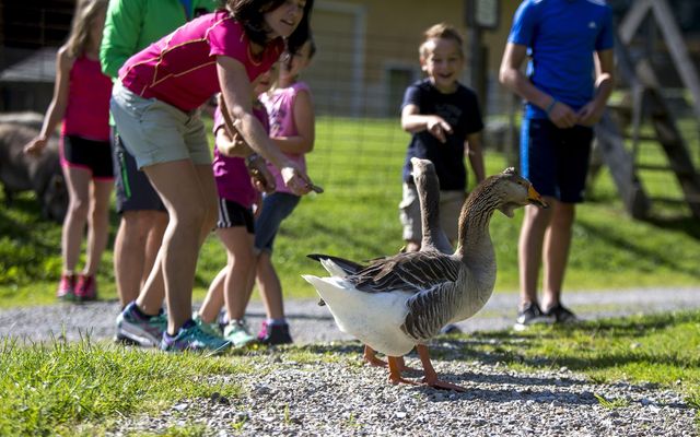 Ferienhotel Gasthof zur Post Bildergalerie
