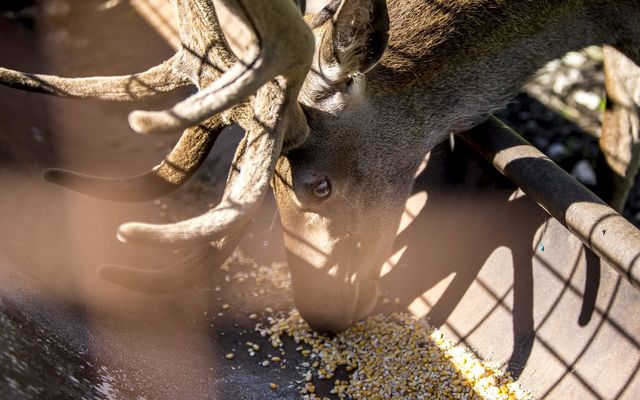 Ferienhotel Gasthof zur Post Bildergalerie
