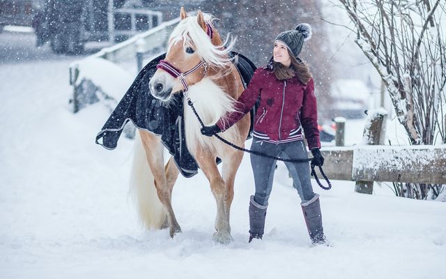 Reiten Winter