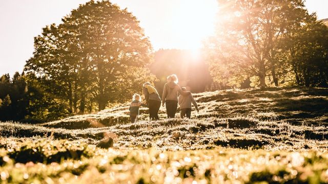 Schnäppchenwochen im Herbst