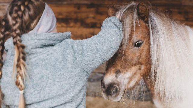 Herbstferien am Bauernhof