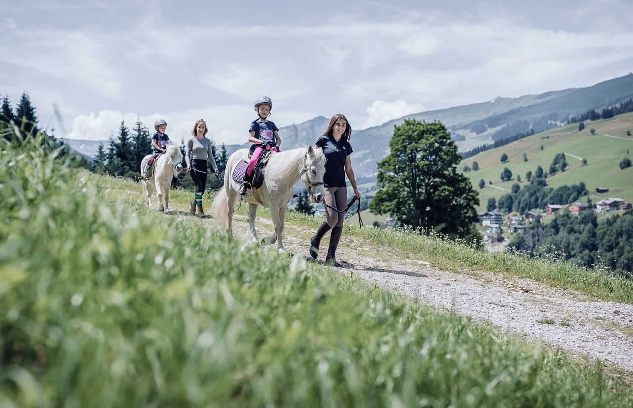 Sommer im Ellmauhof