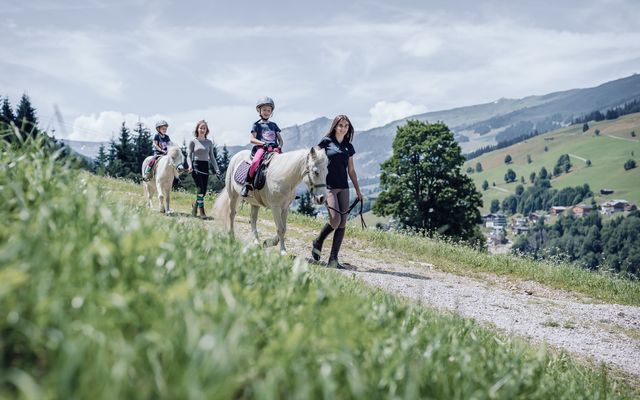 Sommer Aussenanschicht