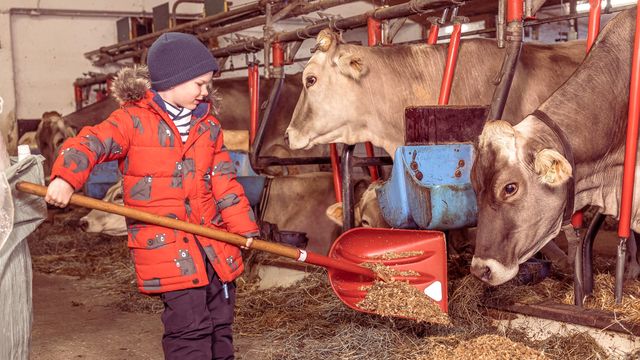 Hopp Hopp Hurra - unsere Tierwoche