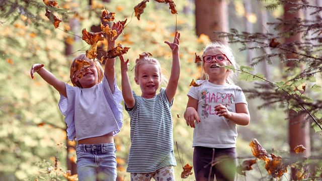 Herbst-Bonus im Seetal