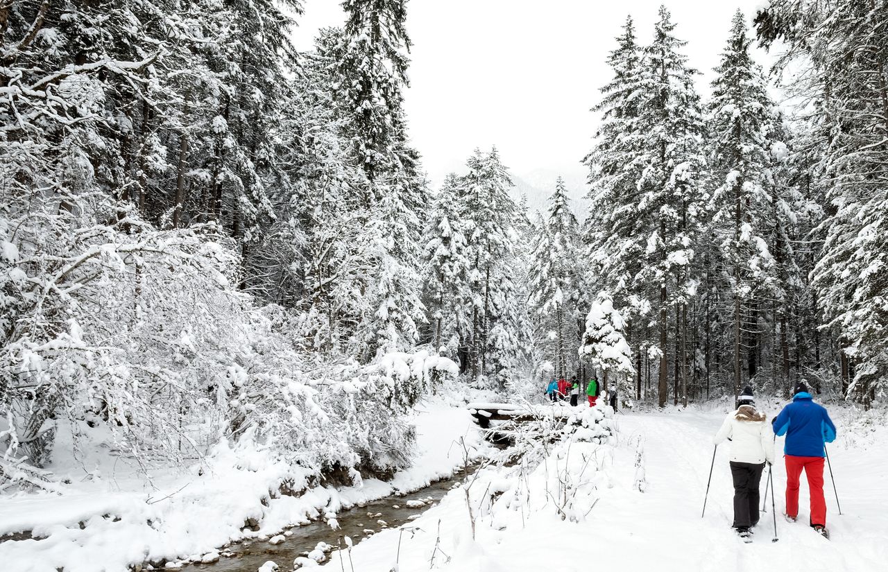 Schneeschuhwanderung Gradenbach