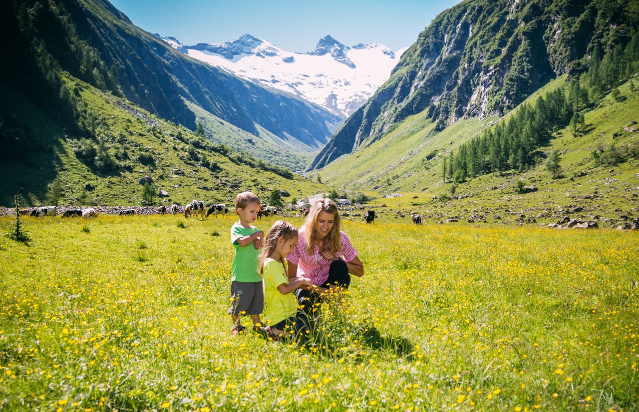 Ferienregion Nationalpark Hohe Tauern
