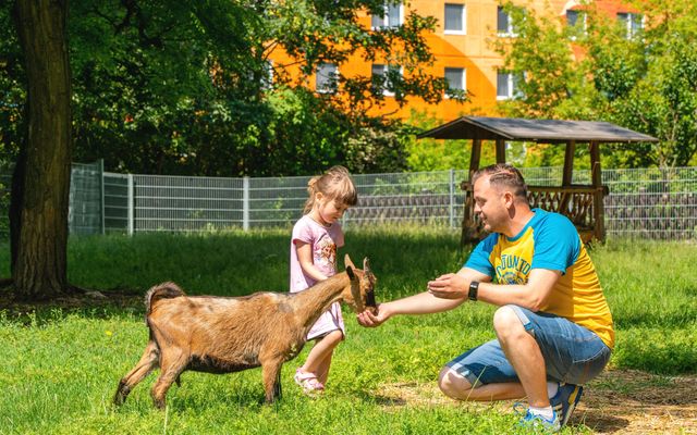 Vater und Tochter in Streichelzoo