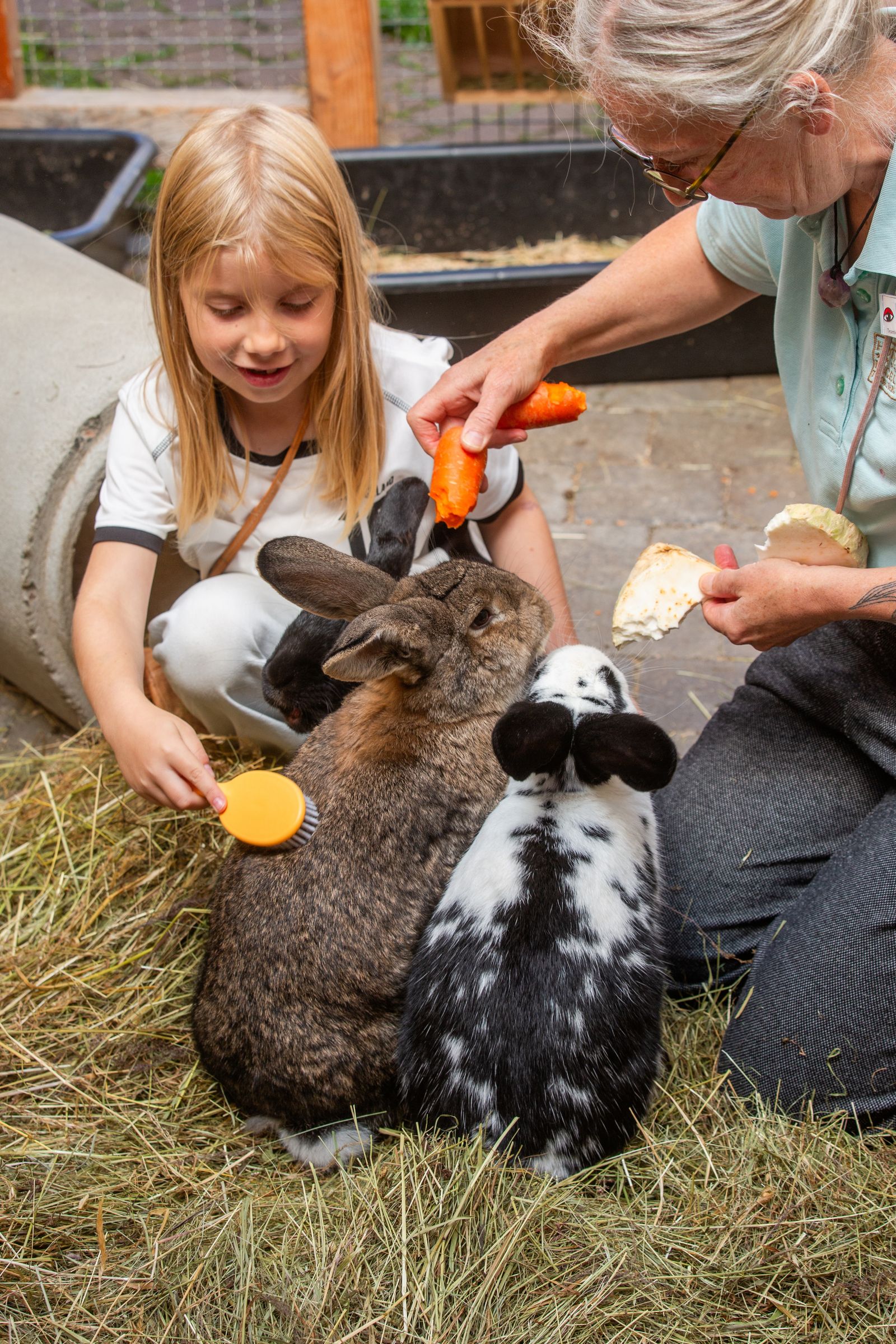 Früh dran – günstiger drin - 5% extra image 3 - Familotel Hochschwarzwald Hotel Engel