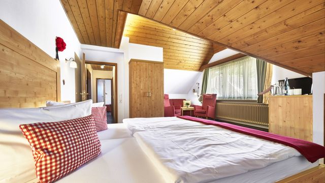 Familien-Suite „Buche Hirsch“