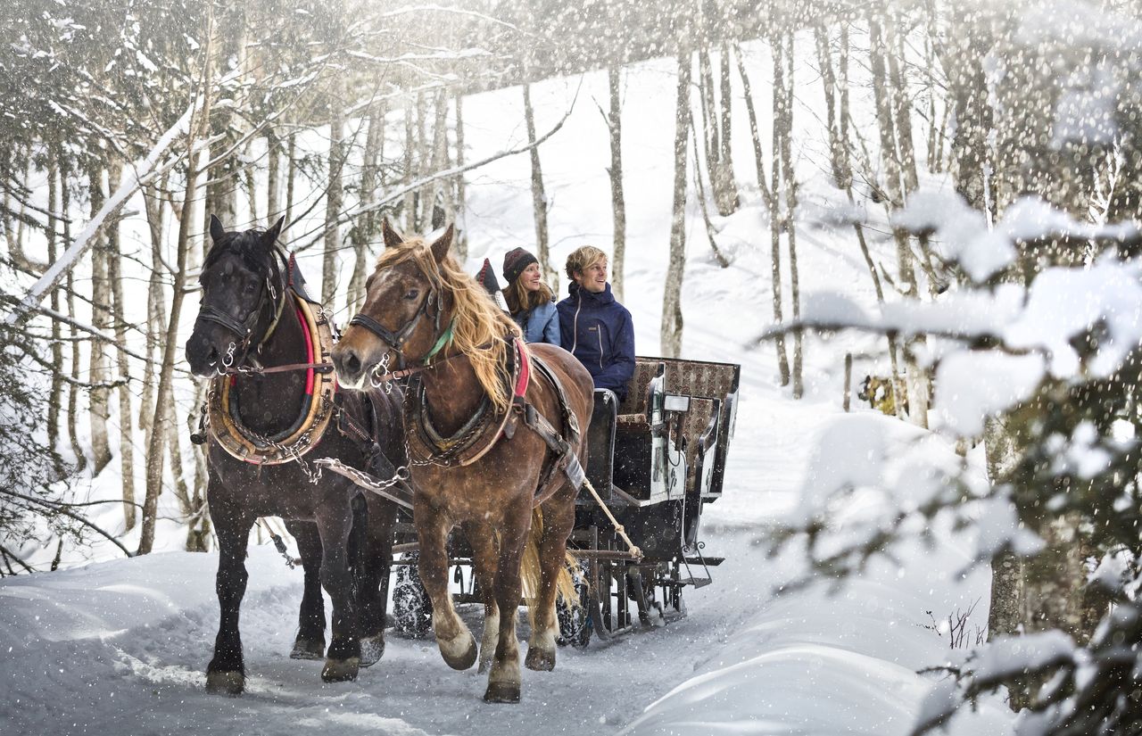 Pferdeschlitten