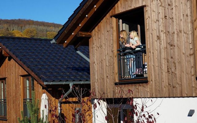 Accommodation Room/Apartment/Chalet: Berg-Chalet