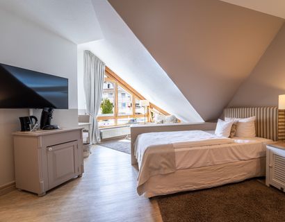 Romantischer Winkel - RoLigio® & Wellness Resort: Turm Einzelzimmer