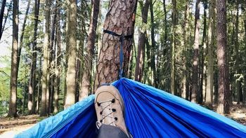 Inspirierendes Waldbaden