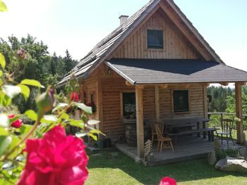 Götschlhütte - Carinthia  - Austria