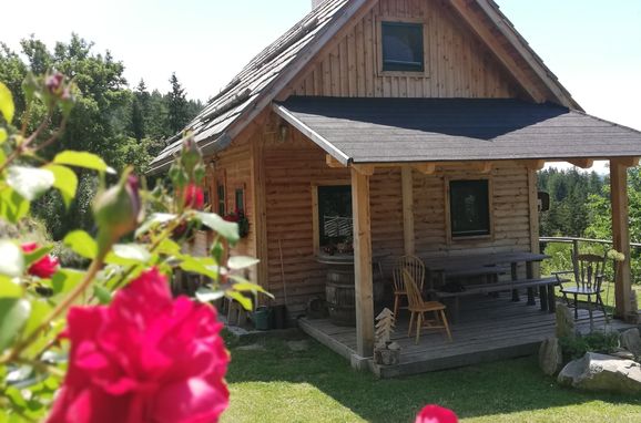 Summer, Götschlhütte, Reichenfels, Kärnten, Carinthia , Austria