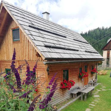 Sommer, Götschlhütte, Reichenfels, Kärnten, Kärnten, Österreich