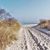 Winterschnäppchen 