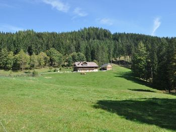 Almhütte Kuhgraben - Kärnten - Österreich