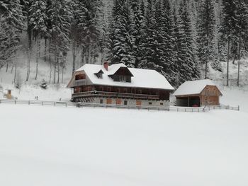 Almhütte Kuhgraben - Kärnten - Österreich