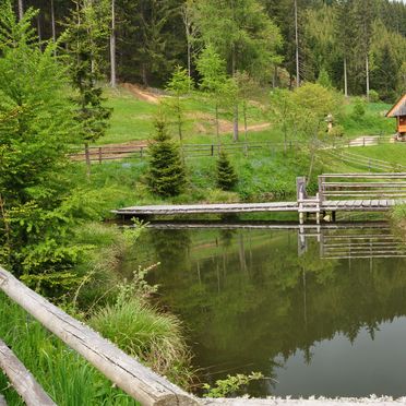 , Almhütte Kuhgraben, Bad St. Leonhard, Kärnten, Carinthia , Austria