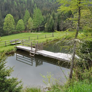 , Almhütte Kuhgraben, Bad St. Leonhard, Kärnten, Carinthia , Austria